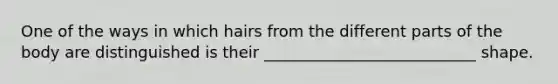 One of the ways in which hairs from the different parts of the body are distinguished is their ___________________________ shape.