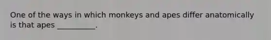 One of the ways in which monkeys and apes differ anatomically is that apes __________.