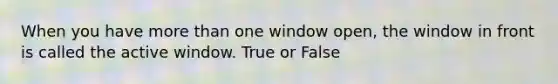 When you have more than one window open, the window in front is called the active window. True or False