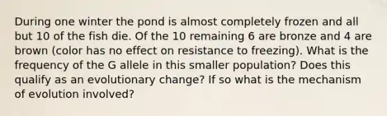 During one winter the pond is almost completely frozen and all but 10 of the fish die. Of the 10 remaining 6 are bronze and 4 are brown (color has no effect on resistance to freezing). What is the frequency of the G allele in this smaller population? Does this qualify as an evolutionary change? If so what is the mechanism of evolution involved?