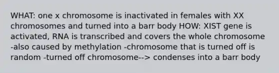 WHAT: one x chromosome is inactivated in females with XX chromosomes and turned into a barr body HOW: XIST gene is activated, RNA is transcribed and covers the whole chromosome -also caused by methylation -chromosome that is turned off is random -turned off chromosome--> condenses into a barr body