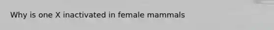 Why is one X inactivated in female mammals