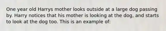 One year old Harrys mother looks outside at a large dog passing by. Harry notices that his mother is looking at the dog, and starts to look at the dog too. This is an example of: