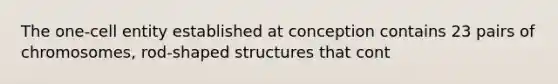 The one-cell entity established at conception contains 23 pairs of chromosomes, rod-shaped structures that cont