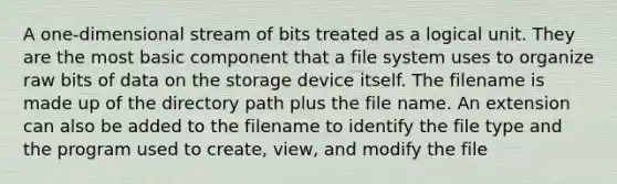 A one-dimensional stream of bits treated as a logical unit. They are the most basic component that a file system uses to organize raw bits of data on the storage device itself. The filename is made up of the directory path plus the file name. An extension can also be added to the filename to identify the file type and the program used to create, view, and modify the file