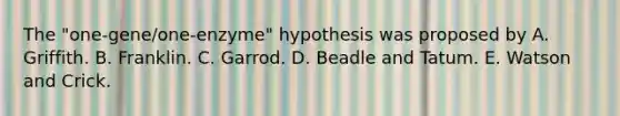 The "one-gene/one-enzyme" hypothesis was proposed by A. Griffith. B. Franklin. C. Garrod. D. Beadle and Tatum. E. Watson and Crick.