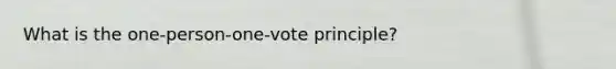 What is the one-person-one-vote principle?