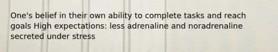 One's belief in their own ability to complete tasks and reach goals High expectations: less adrenaline and noradrenaline secreted under stress