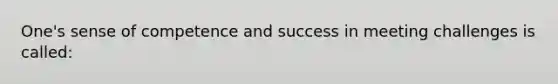 One's sense of competence and success in meeting challenges is called: