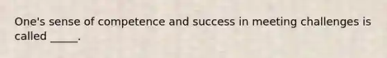 One's sense of competence and success in meeting challenges is called _____.