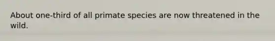 About one-third of all primate species are now threatened in the wild.