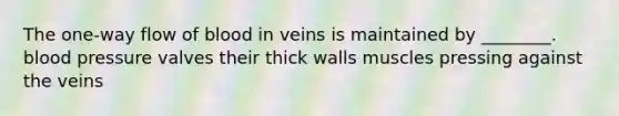 The one-way flow of blood in veins is maintained by ________. blood pressure valves their thick walls muscles pressing against the veins