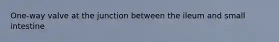 One-way valve at the junction between the ileum and small intestine