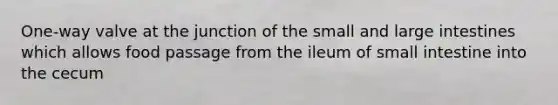 One-way valve at the junction of the small and large intestines which allows food passage from the ileum of small intestine into the cecum