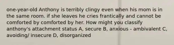 one-year-old Anthony is terribly clingy even when his mom is in the same room. if she leaves he cries frantically and cannot be comforted by comforted by her. How might you classify anthony's attachment status A, secure B, anxious - ambivalent C, avoiding/ insecure D, disorganized