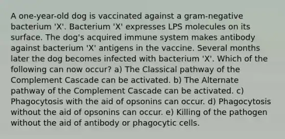 A one-year-old dog is vaccinated against a gram-negative bacterium 'X'. Bacterium 'X' expresses LPS molecules on its surface. The dog's acquired immune system makes antibody against bacterium 'X' antigens in the vaccine. Several months later the dog becomes infected with bacterium 'X'. Which of the following can now occur? a) The Classical pathway of the Complement Cascade can be activated. b) The Alternate pathway of the Complement Cascade can be activated. c) Phagocytosis with the aid of opsonins can occur. d) Phagocytosis without the aid of opsonins can occur. e) Killing of the pathogen without the aid of antibody or phagocytic cells.