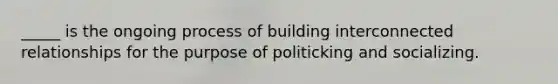 _____ is the ongoing process of building interconnected relationships for the purpose of politicking and socializing.