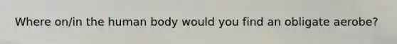 Where on/in the human body would you find an obligate aerobe?