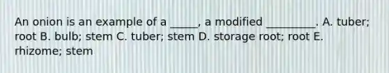 An onion is an example of a _____, a modified _________. A. tuber; root B. bulb; stem C. tuber; stem D. storage root; root E. rhizome; stem