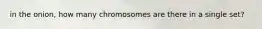 in the onion, how many chromosomes are there in a single set?