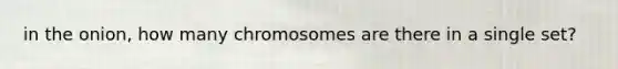 in the onion, how many chromosomes are there in a single set?