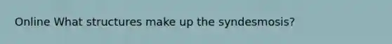 Online What structures make up the syndesmosis?
