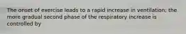 The onset of exercise leads to a rapid increase in ventilation; the more gradual second phase of the respiratory increase is controlled by