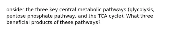 onsider the three key central metabolic pathways (glycolysis, pentose phosphate pathway, and the TCA cycle). What three beneficial products of these pathways?