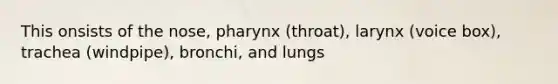 This onsists of the nose, pharynx (throat), larynx (voice box), trachea (windpipe), bronchi, and lungs