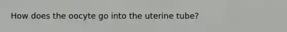 How does the oocyte go into the uterine tube?