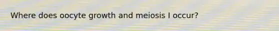 Where does oocyte growth and meiosis I occur?