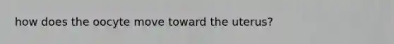 how does the oocyte move toward the uterus?