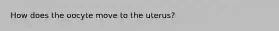 How does the oocyte move to the uterus?