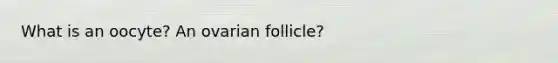 What is an oocyte? An ovarian follicle?