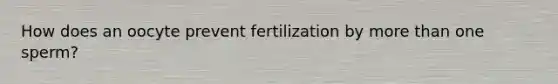 How does an oocyte prevent fertilization by <a href='https://www.questionai.com/knowledge/keWHlEPx42-more-than' class='anchor-knowledge'>more than</a> one sperm?