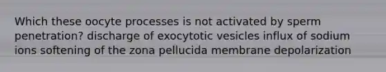 Which these oocyte processes is not activated by sperm penetration? discharge of exocytotic vesicles influx of sodium ions softening of the zona pellucida membrane depolarization