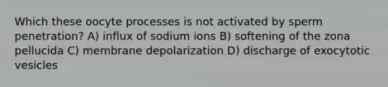 Which these oocyte processes is not activated by sperm penetration? A) influx of sodium ions B) softening of the zona pellucida C) membrane depolarization D) discharge of exocytotic vesicles