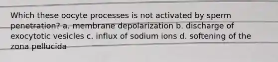 Which these oocyte processes is not activated by sperm penetration? a. membrane depolarization b. discharge of exocytotic vesicles c. influx of sodium ions d. softening of the zona pellucida