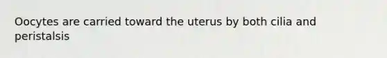 Oocytes are carried toward the uterus by both cilia and peristalsis