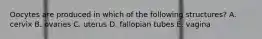 Oocytes are produced in which of the following structures? A. cervix B. ovaries C. uterus D. fallopian tubes E. vagina