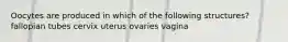 Oocytes are produced in which of the following structures? fallopian tubes cervix uterus ovaries vagina