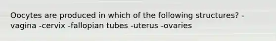 Oocytes are produced in which of the following structures? -vagina -cervix -fallopian tubes -uterus -ovaries