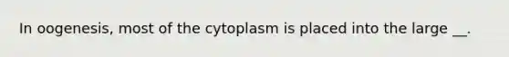 In oogenesis, most of the cytoplasm is placed into the large __.