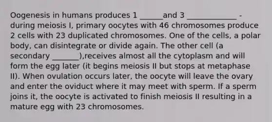 Oogenesis in humans produces 1 ______and 3 _____________ - during meiosis I, primary oocytes with 46 chromosomes produce 2 cells with 23 duplicated chromosomes. One of the cells, a polar body, can disintegrate or divide again. The other cell (a secondary _______),receives almost all the cytoplasm and will form the egg later (it begins meiosis II but stops at metaphase II). When ovulation occurs later, the oocyte will leave the ovary and enter the oviduct where it may meet with sperm. If a sperm joins it, the oocyte is activated to finish meiosis II resulting in a mature egg with 23 chromosomes.