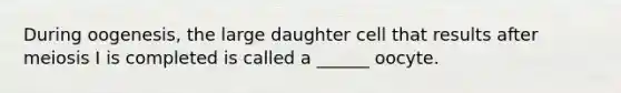 During oogenesis, the large daughter cell that results after meiosis I is completed is called a ______ oocyte.