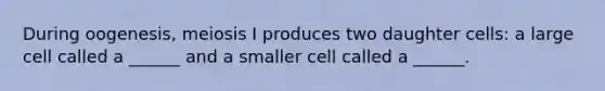 During oogenesis, meiosis I produces two daughter cells: a large cell called a ______ and a smaller cell called a ______.