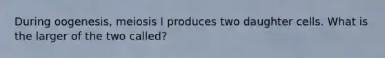 During oogenesis, meiosis I produces two daughter cells. What is the larger of the two called?