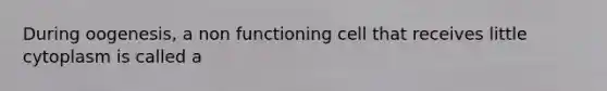 During oogenesis, a non functioning cell that receives little cytoplasm is called a