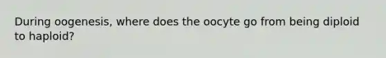 During oogenesis, where does the oocyte go from being diploid to haploid?