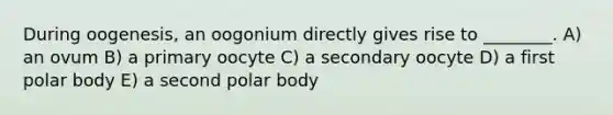 During oogenesis, an oogonium directly gives rise to ________. A) an ovum B) a primary oocyte C) a secondary oocyte D) a first polar body E) a second polar body